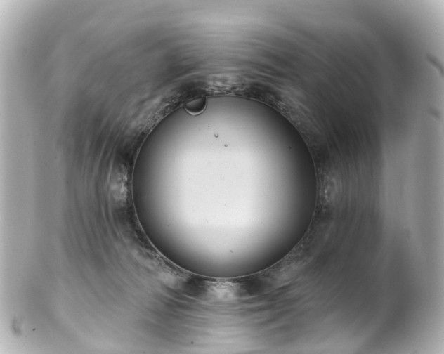 X0000100920226200807011314