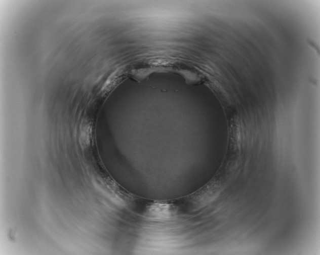 X0000100920227200807011314