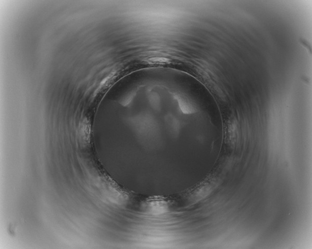 X0000100920228200807011314