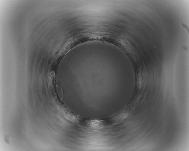 X0000100920229200807011314