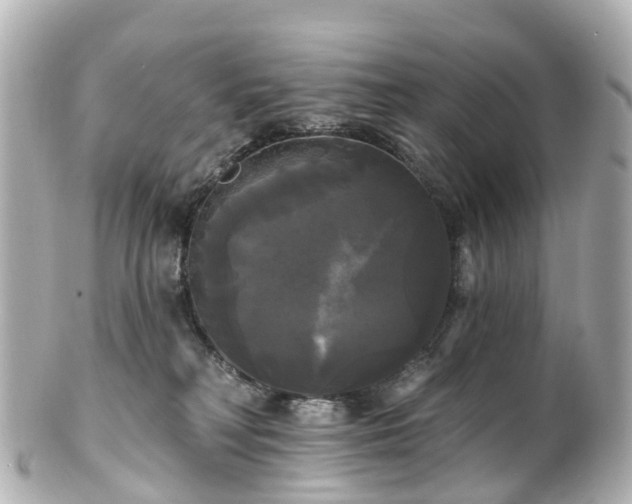 X0000100920230200807011314