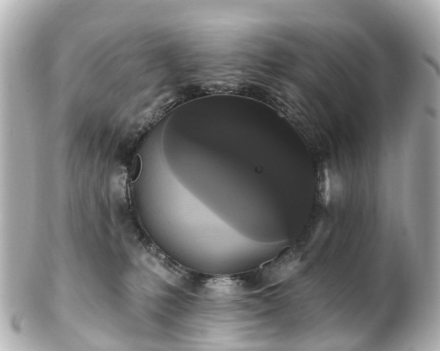 X0000100920231200807011314