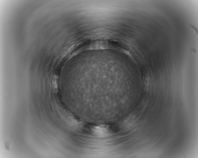 X0000100920232200807011314