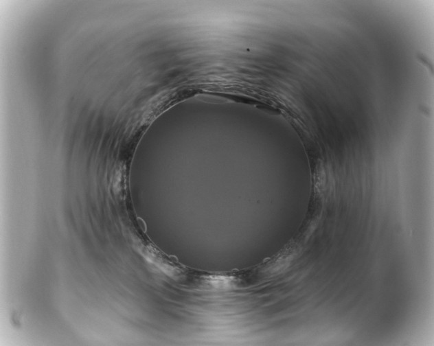 X0000100920233200807011314