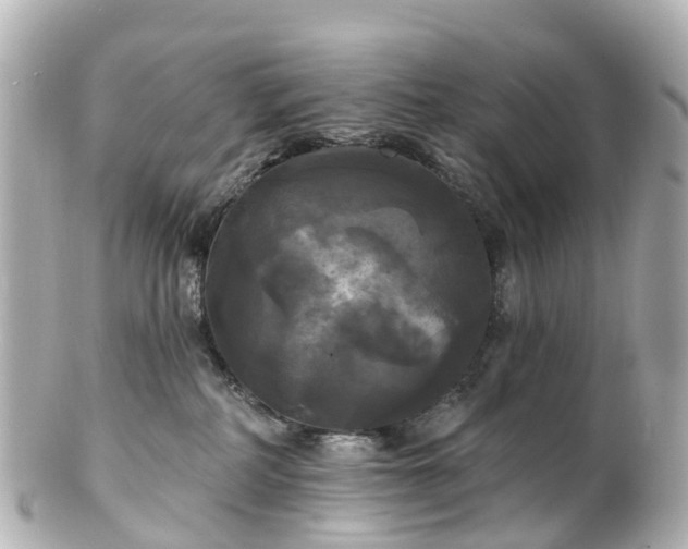 X0000100920234200807011314