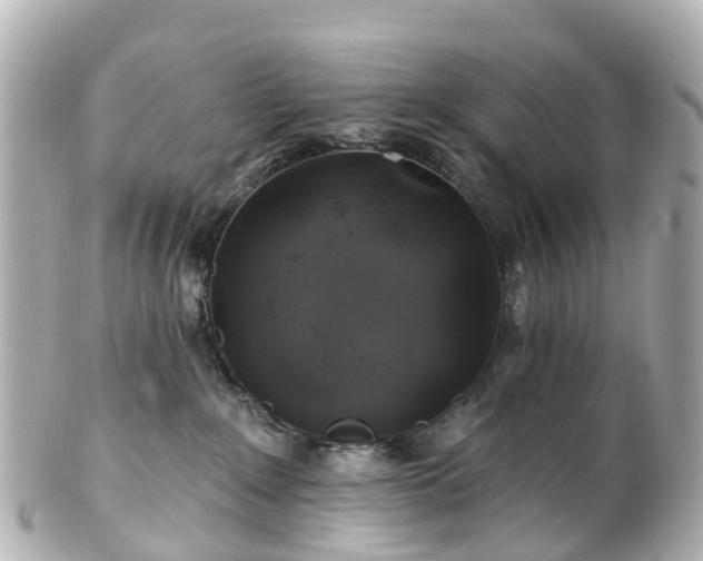 X0000100920235200807011314