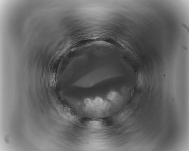 X0000100920236200807011314