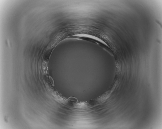 X0000100920237200807011314