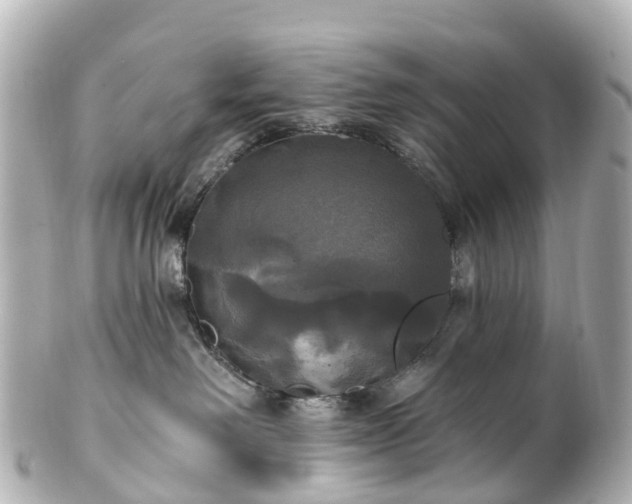 X0000100920238200807011314