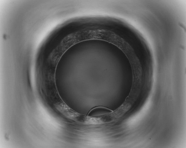 X0000100920239200807011314