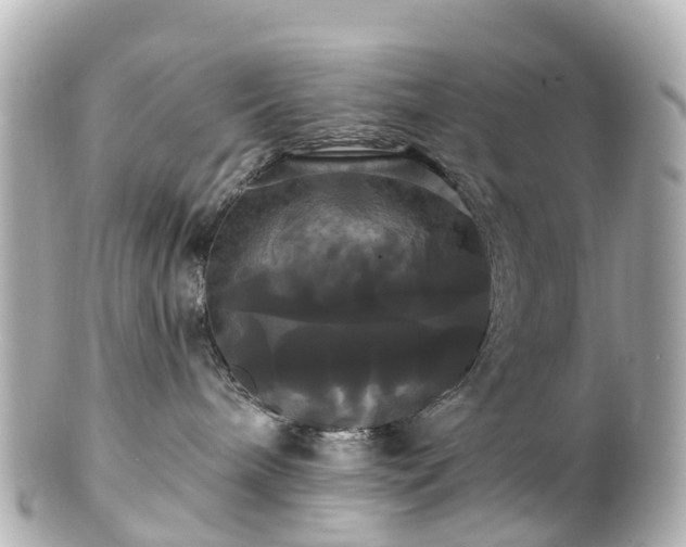 X0000100920240200807011314