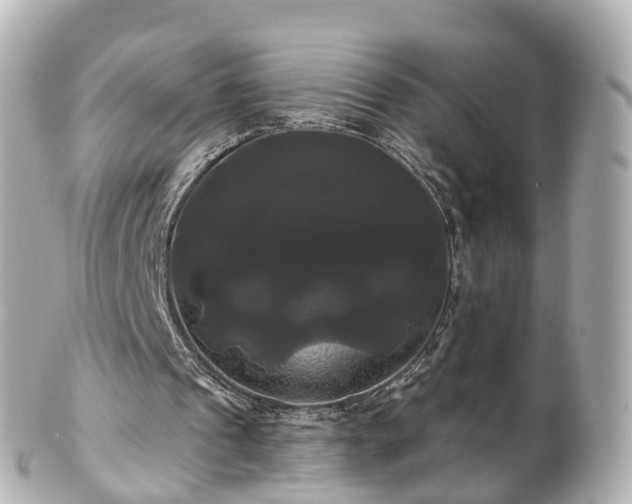 X0000100920241200807011313