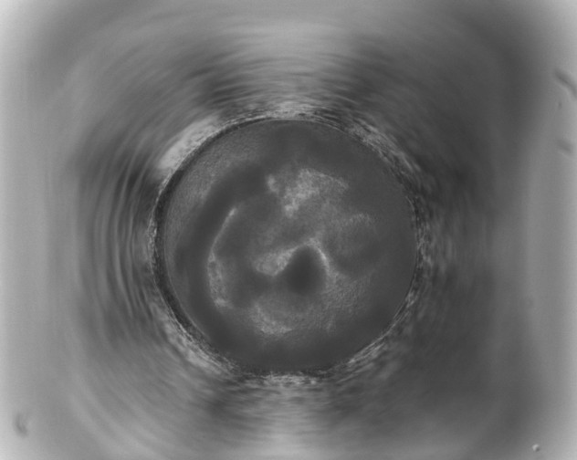 X0000100920242200807011313