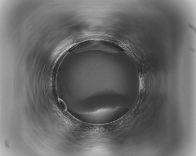 X0000100920243200807011313