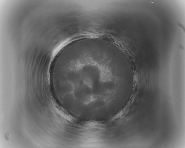 X0000100920246200807011313