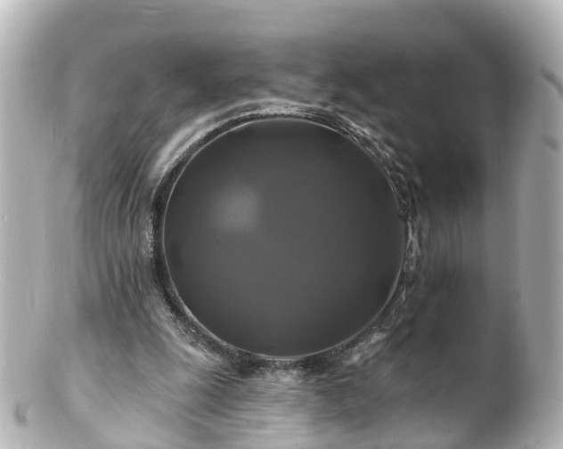 X0000100920247200807011313