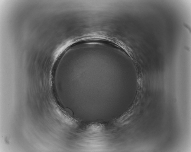 X0000100920248200807011313