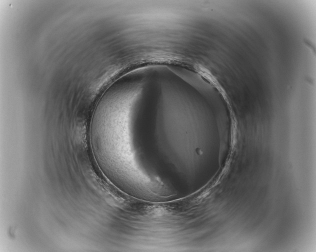 X0000100920249200807011313