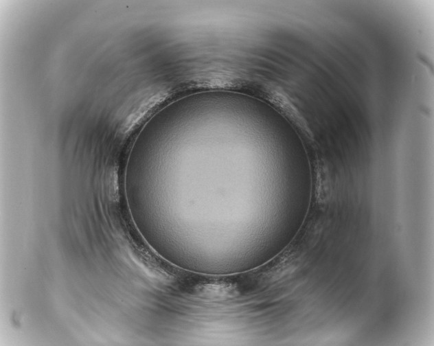 X0000100920251200807011313