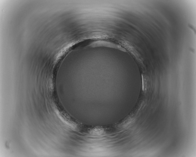 X0000100920252200807011313