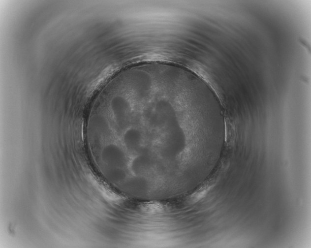 X0000100920253200807011313