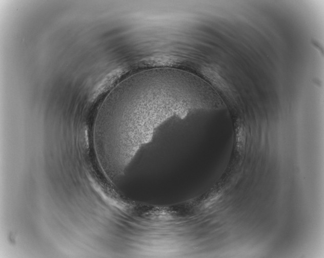 X0000100920254200807011313