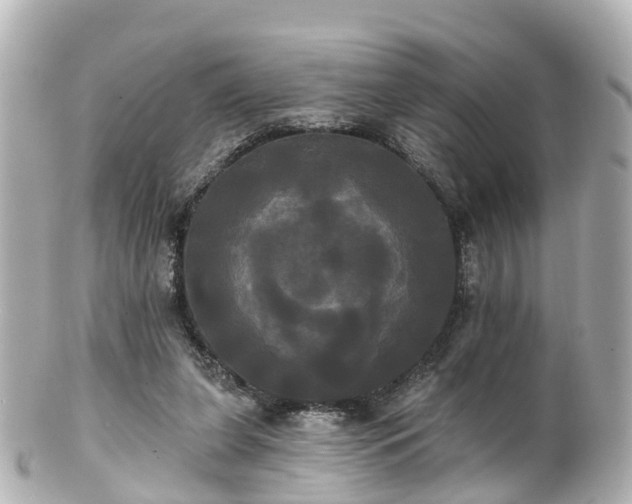 X0000100920255200807011313