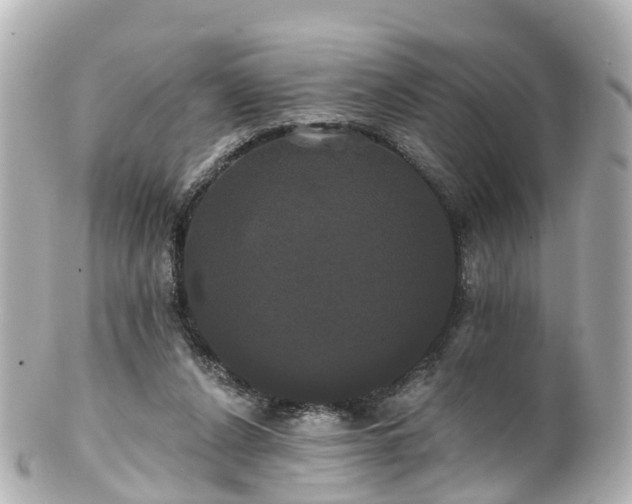 X0000100920256200807011313