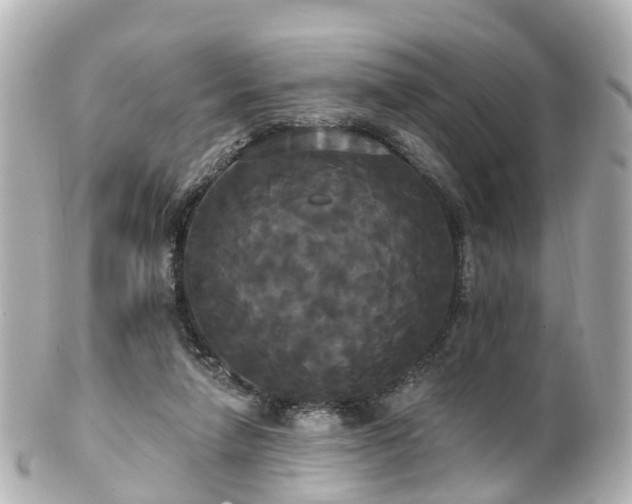 X0000100920258200807011313