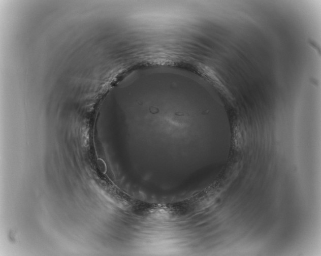 X0000100920259200807011313