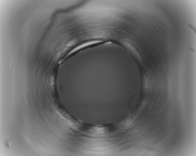 X0000100920260200807011313