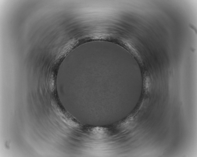 X0000100920261200807011313