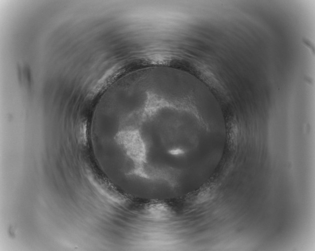 X0000100920262200807011313