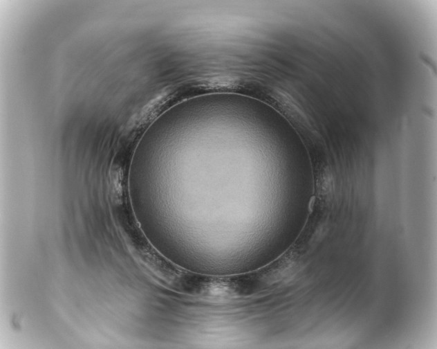 X0000100920264200807011313