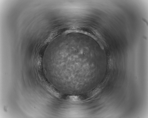 X0000100920265200807011313