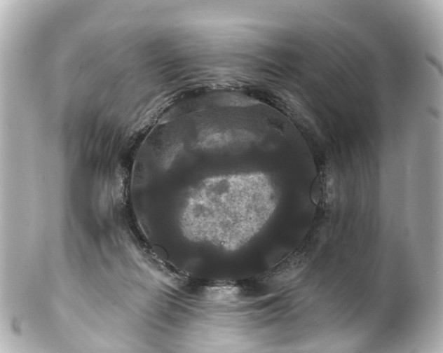 X0000100920266200807011313