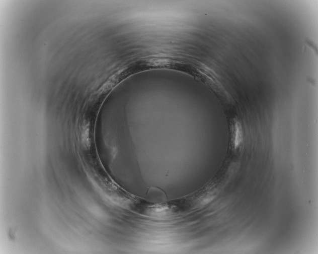 X0000100920267200807011313