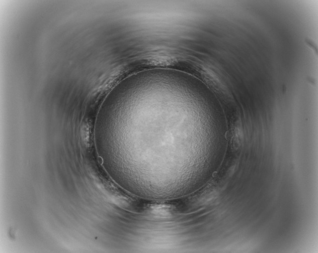 X0000100920268200807011313