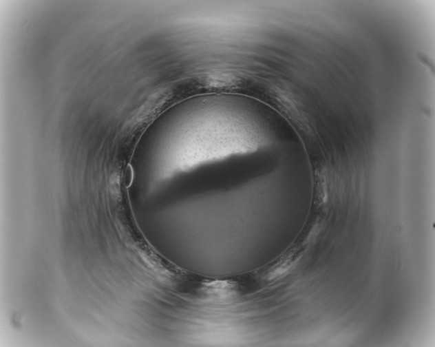 X0000100920269200807011313