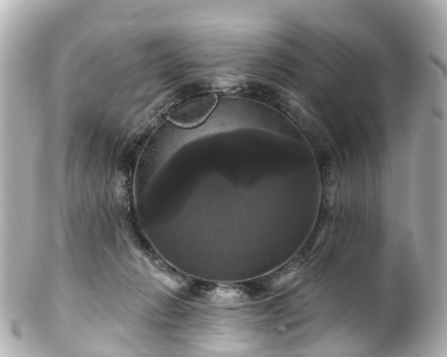 X0000100920270200807011313