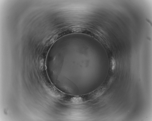 X0000100920271200807011313