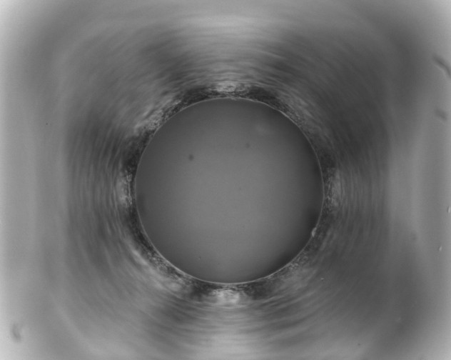 X0000100920272200807011313