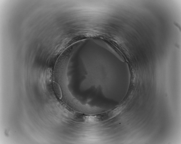 X0000100920273200807011313