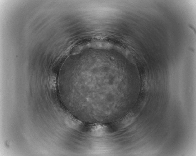 X0000100920274200807011314