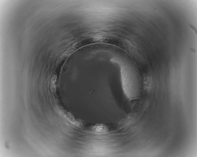 X0000100920275200807011314