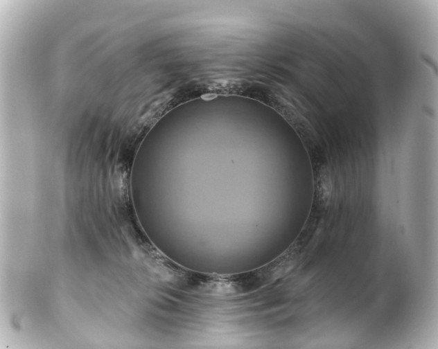 X0000100920276200807011314