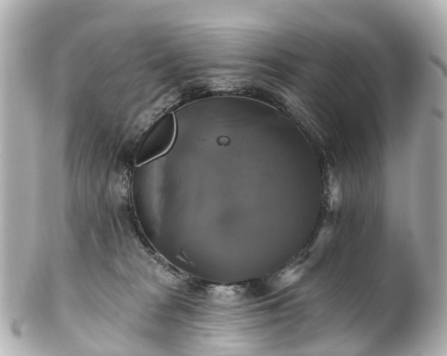 X0000100920277200807011314