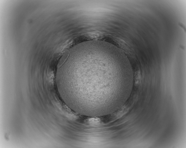 X0000100920279200807011314