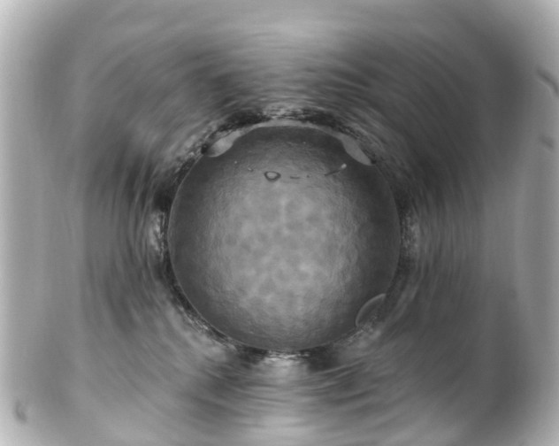 X0000100920280200807011314