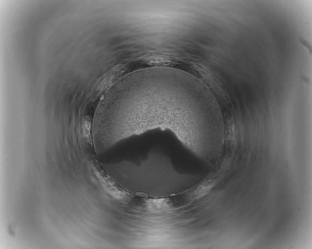 X0000100920281200807011314